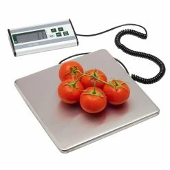 Deals ๐ LEM Stainless Steel Digital Scale | 330 Lb Stainless Steel โ๏ธ