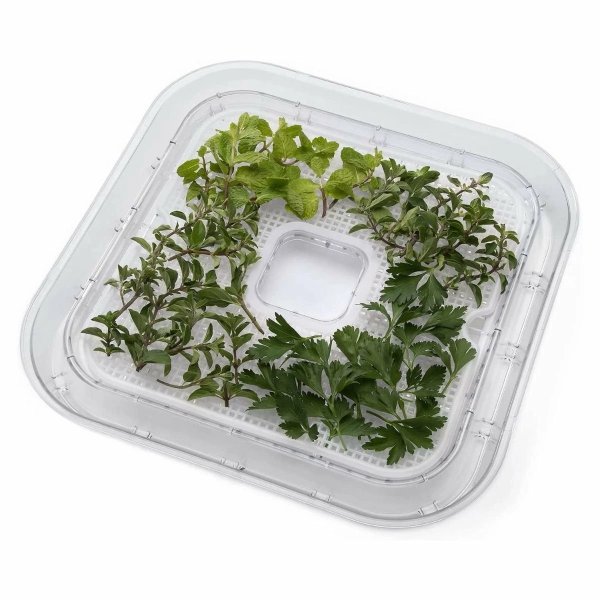 Top 10 ???? Presto® Dehydro® Digital Electric Food Dehydrator | Square Accessories - Nonstick Mesh Screens (Set Of 2) White ???? 3 Top 10 ???? Presto® Dehydro® Digital Electric Food Dehydrator | Square Accessories - Nonstick Mesh Screens (Set Of 2) White ???? - Image 3