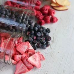 Best reviews of 🧨 Harvest Right Small Size Home Freeze Dryer | Stainless Steel Silver, Steel 🎁 -KitchenAid Shop hrss3 2